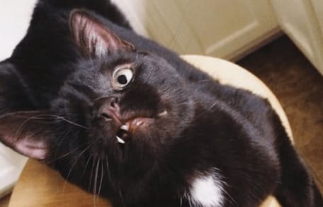 Schwarze mit einem Auge