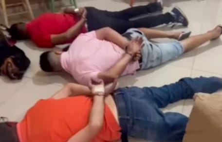 perro entrega a narcotraficantes