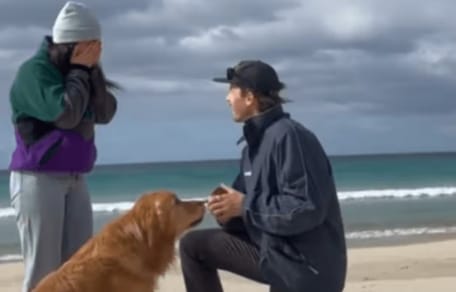 Mann auf Knien mit seiner Freundin und dem Hund