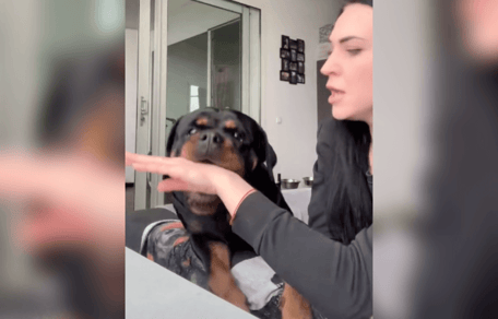 rottweiler junto a su dueña