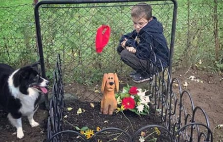 Hund und Junge sitzen neben Grab