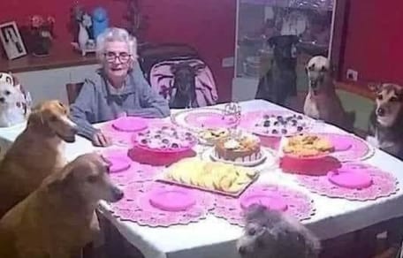 Die Oma am Tisch mit ihren Hunden.