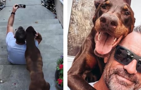 Selfie von Hund und Herrchen.