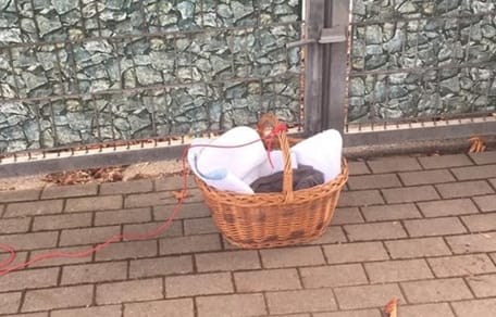 Einkaufskorb mit Strick daran.