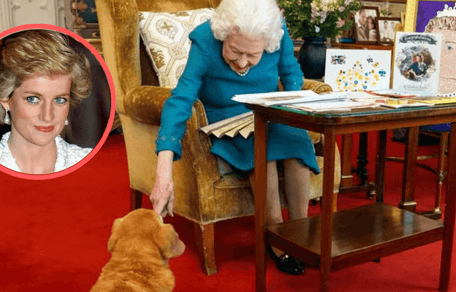 Die Queen streichelt einen ihrer Corgis.