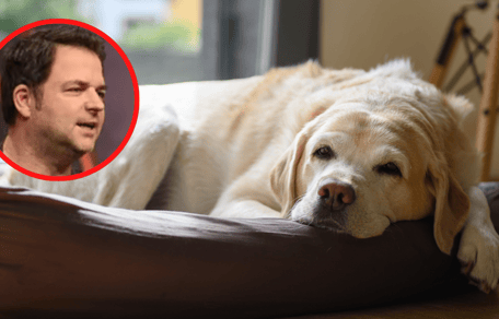 Hundetrainer Martin Rütter