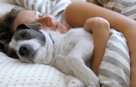 dormir con mi perro es bueno o malo