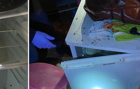 Welpen in Kühlschrank