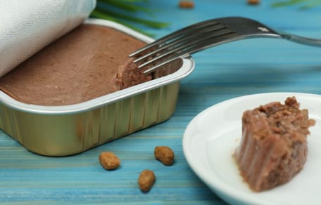 Katzenfutter mit Gabel