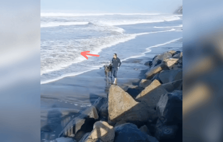 Mann und Hund gehen am Strand spazieren