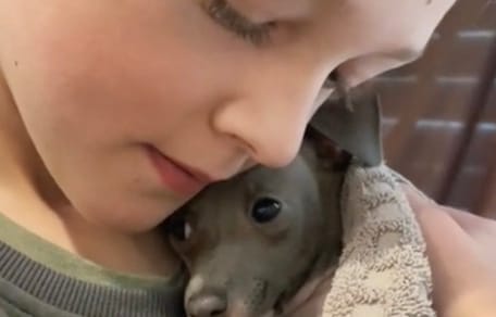 niño consuela perro con miedo