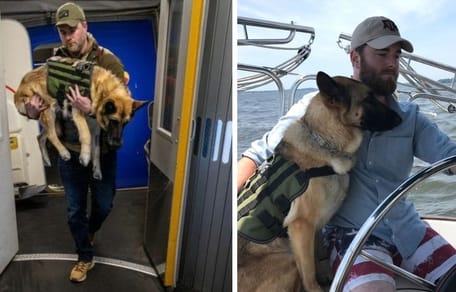 pastore tedesco su volo aereo militare con proprietario