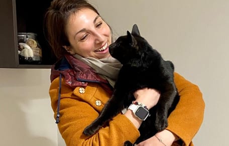 Katze in Transportbox