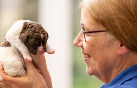 Lächelnde Frau hält Welpen vorm Gesicht