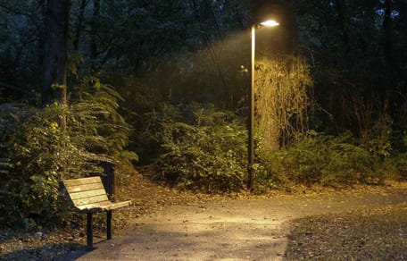 Hund Park Duisburg