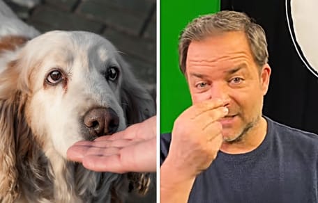 Rütter riechen Hunde Angst