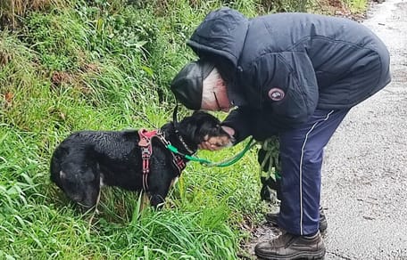 man kissing black and tan dog