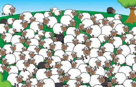 Reto viral donde está el perro