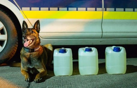 Schäferhund Kanister-Fund