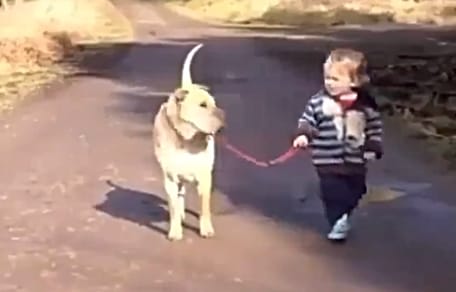Kind und Hund gehen Gassi