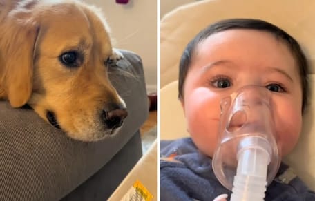 Golden Retriever und Baby mit Inhalator