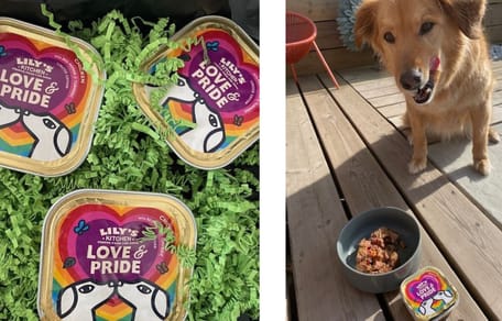 Love and Pride editie Lily's Kitchen