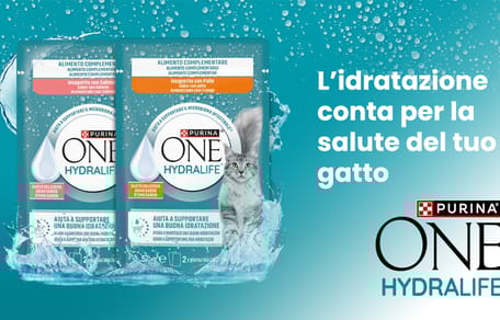 Sacchetto Hydralife con gatto