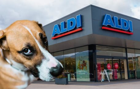 Pueden entrar perros en Aldi