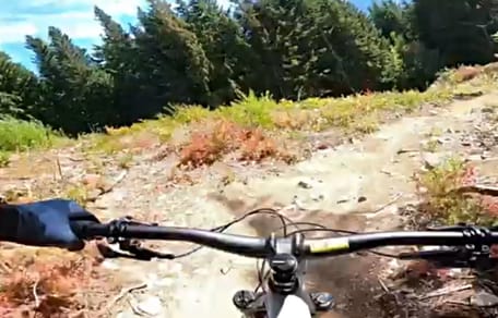 Biker auf dem Danimal North Trail
