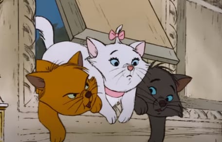aristokatten namen