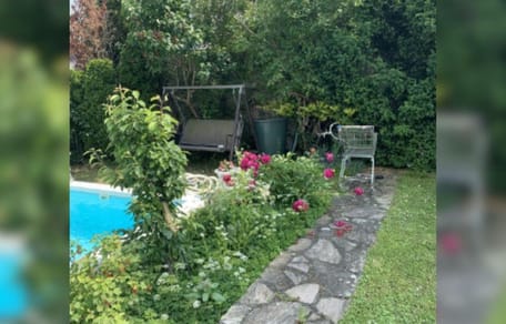 Puedes encontrar al gato escondido en este jardín en menos de 30 segundos