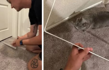 Kätzchen wird aus Bad gerettet