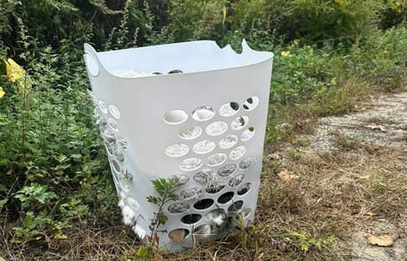 Una mujer descubre una cesta abandonada