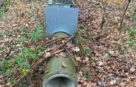 In dieser Lebendfalle wurde Teddy gefangen