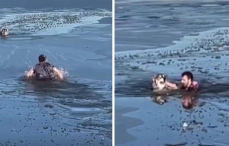 Man wading in icy water to save dog