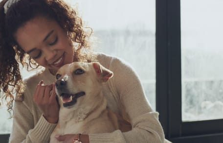Un chien qui caline son humaine