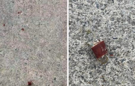 des friandises piégées pour les chiens