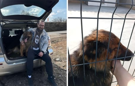 Miał go tylko odłowić, ale nie potrafił zostawić. Policjant z Kłodzka otworzył serce i dom