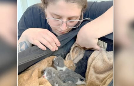 Tragödie im Kreißsaal: Tierheim-Mitarbeiter ringen nach Klinik-Anruf um Worte