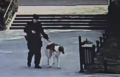pies i policjant