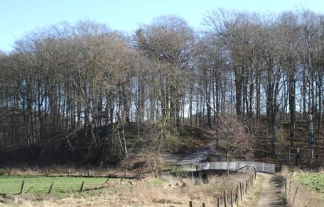 Bad-Schwartau Riesebusch Lange-Hörn