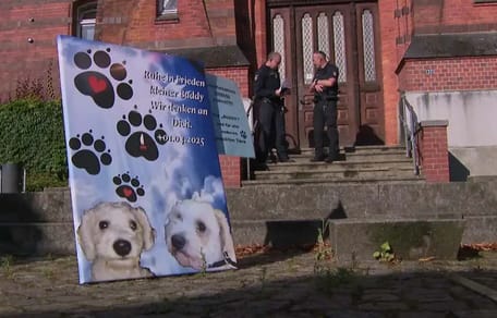 Schild mit Buddys Bild vor dem Amtsgericht Flensburg