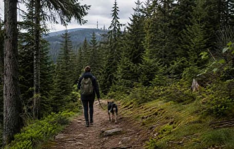 Mann mit Hund im Wald