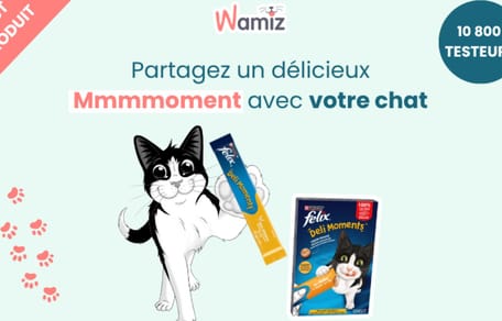 FELIX® Delimoments : L'instant de complicité irrésistible pour votre chat