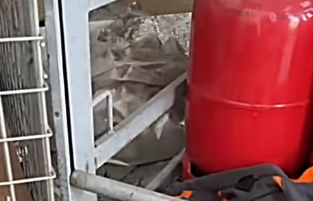 Mysteriöser Fund im Baumarkt: Tage später gibt es noch eine Riesenüberraschung!