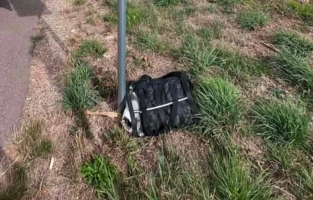 Kat in reistas achtergelaten op fietspad: trieste vondst schokt heel dorp