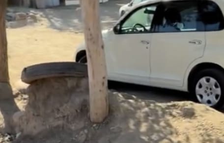 Dog abandoned on the roadside