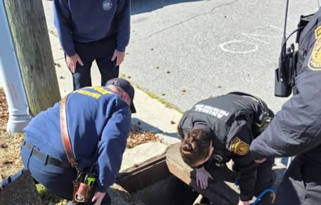 Animal control officers