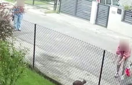 19-letni kot ukradziony sprzed posesji, został finalnie uśpiony. Winna okazuje się fundacja
