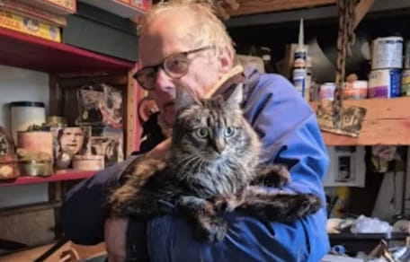 Alle vermisten katten na de explosie in Utrecht zijn weer terecht